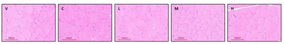 스크린샷 2026-03-31 오후 5.15.01