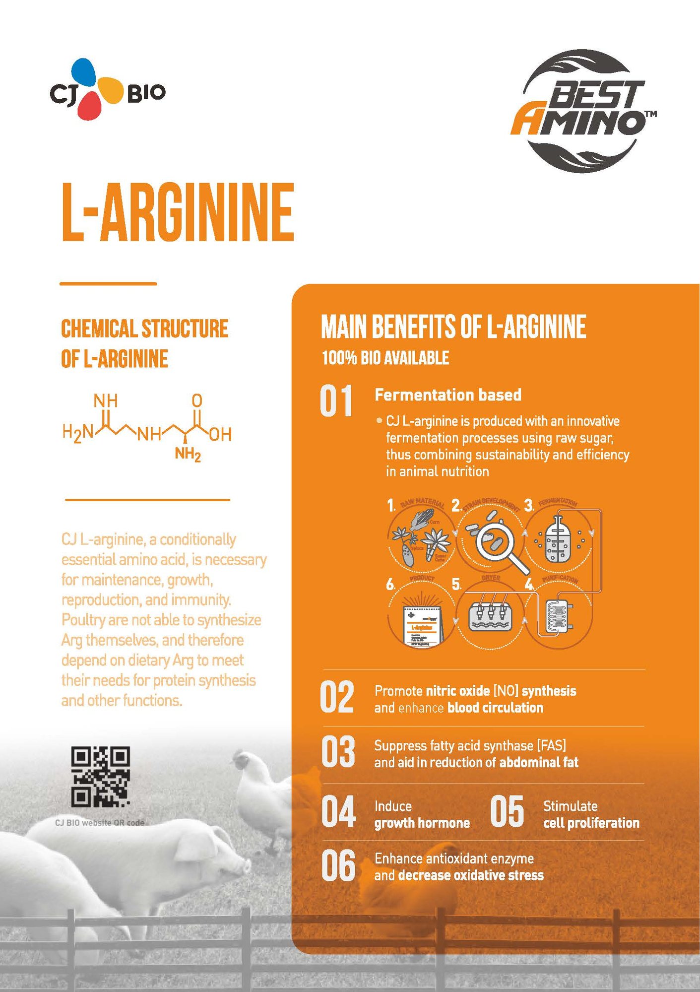 220118 L-arginine_페이지_1