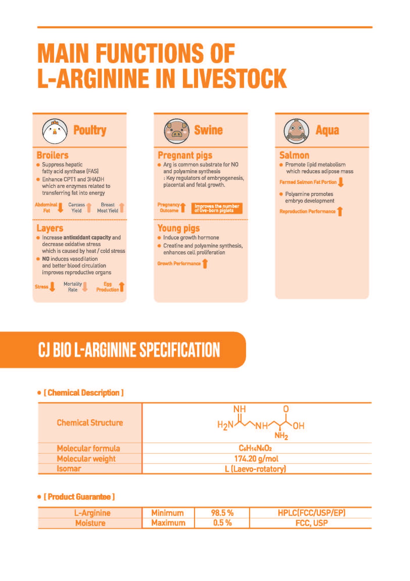 220118 L-arginine_페이지_2