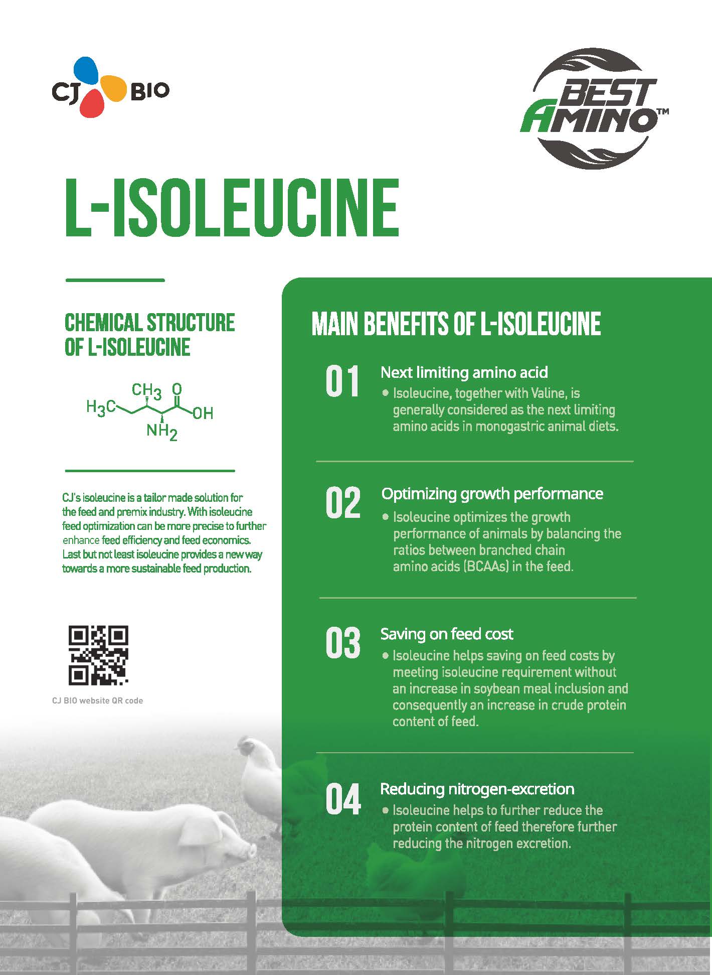 220118 L-isoleucine_페이지_1