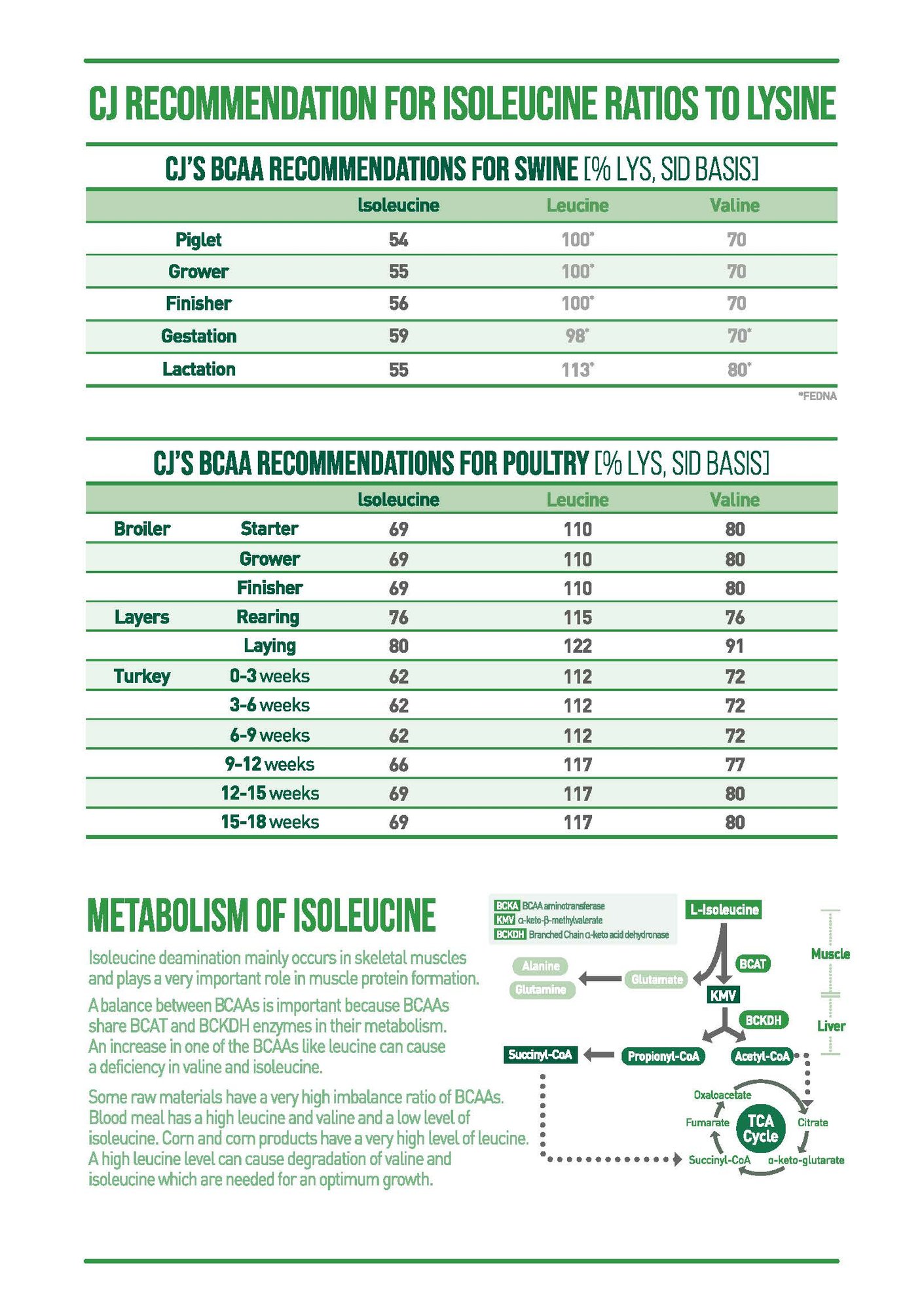 220118 L-isoleucine_페이지_2