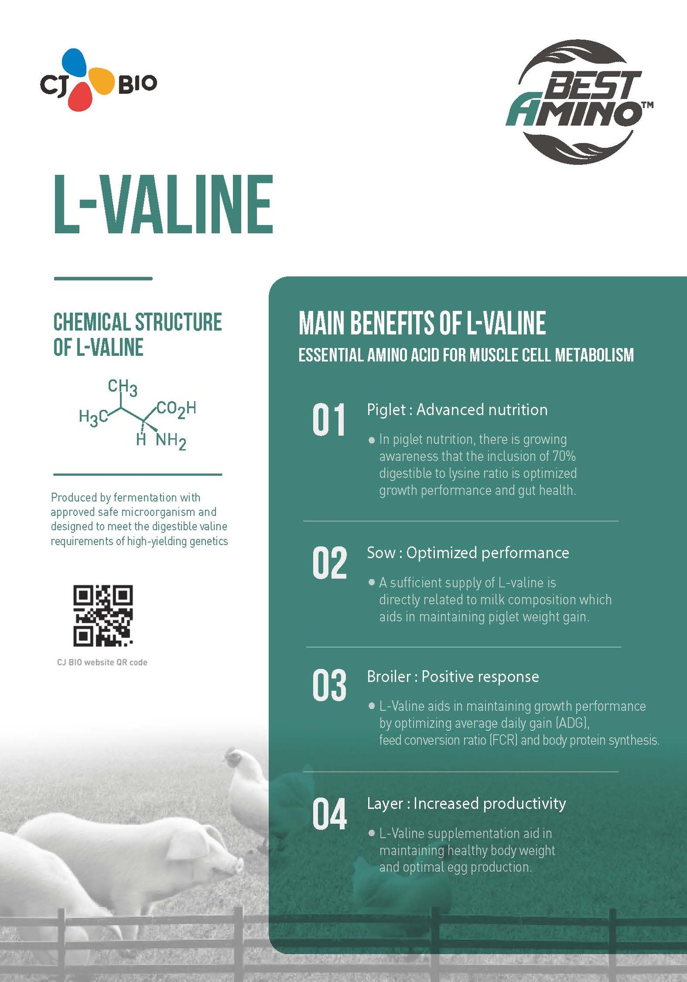 231219 L-valine_IPPE 수정_F_페이지_1