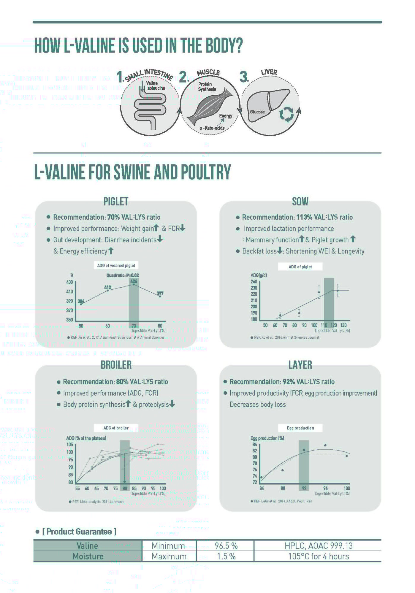 231219 L-valine_IPPE 수정_F_페이지_2