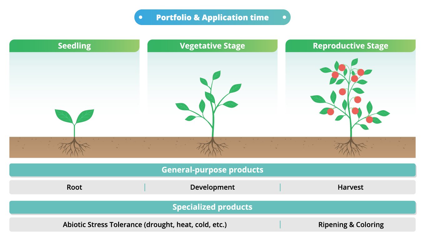 CJ BIO) PNH Infographic_ENG - 6-01