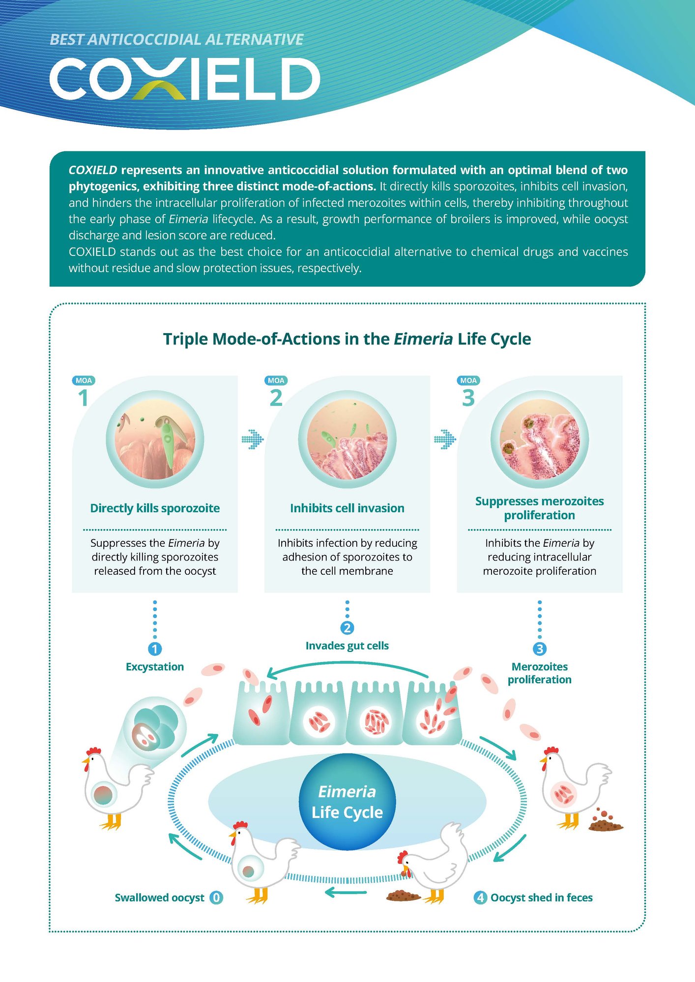 CJ BIO_ coxield 콕쉴드 리플렛_단면_페이지_2