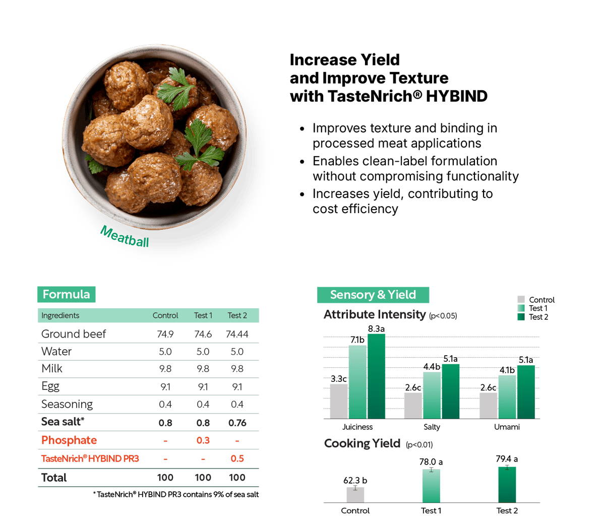 Application_ProcessedMeat_Meatball--1
