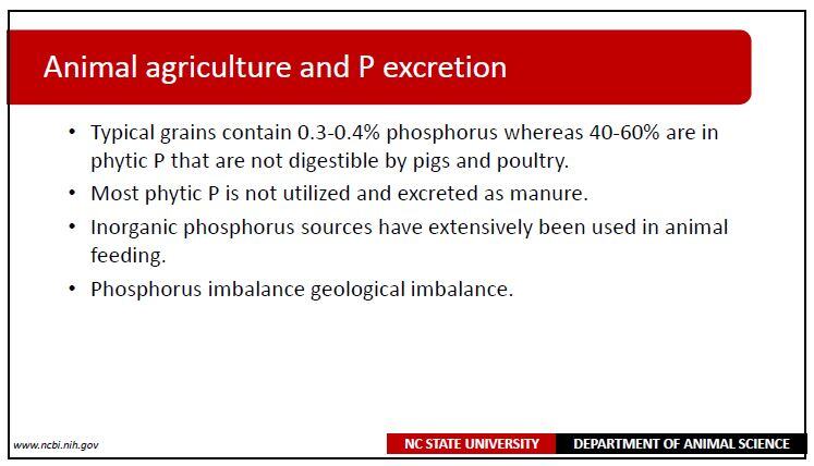 Animal agricultre