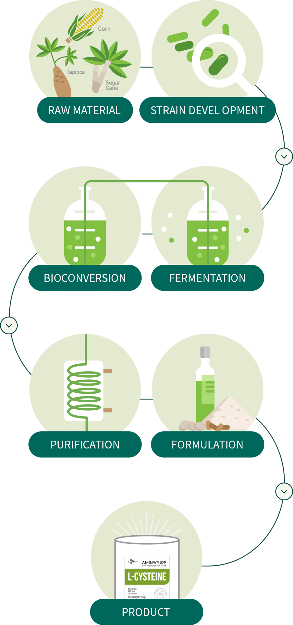 NUTRITION
