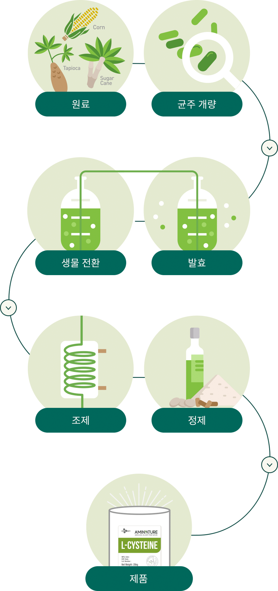 솔루션