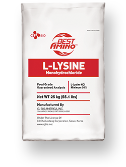 L-Lysine