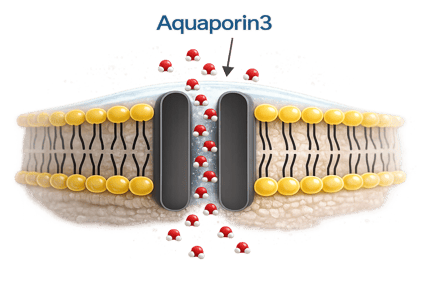 ChatGPT Image 2026년 2월 25일 오후 03_00_32