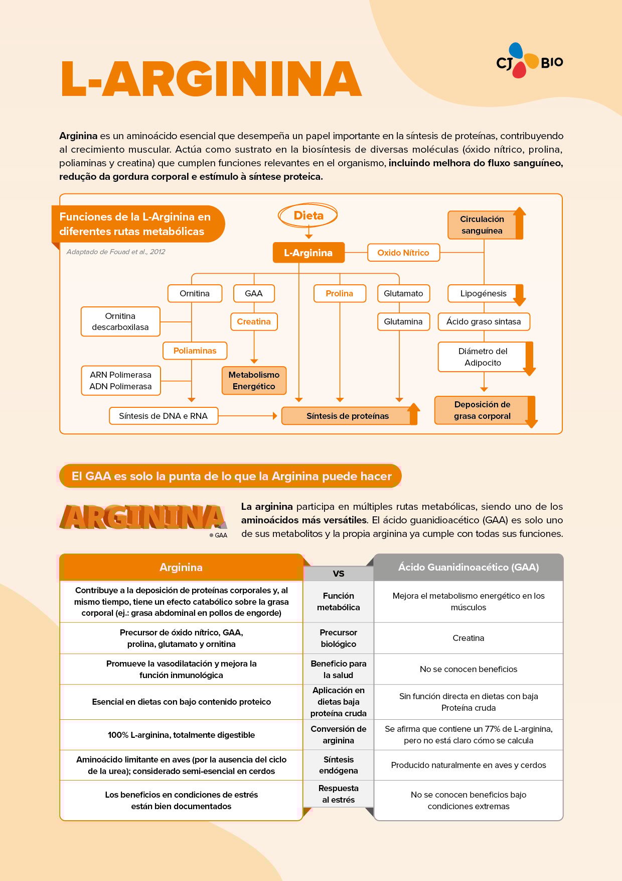 GAA De-MKT 리플렛_Spanish-01