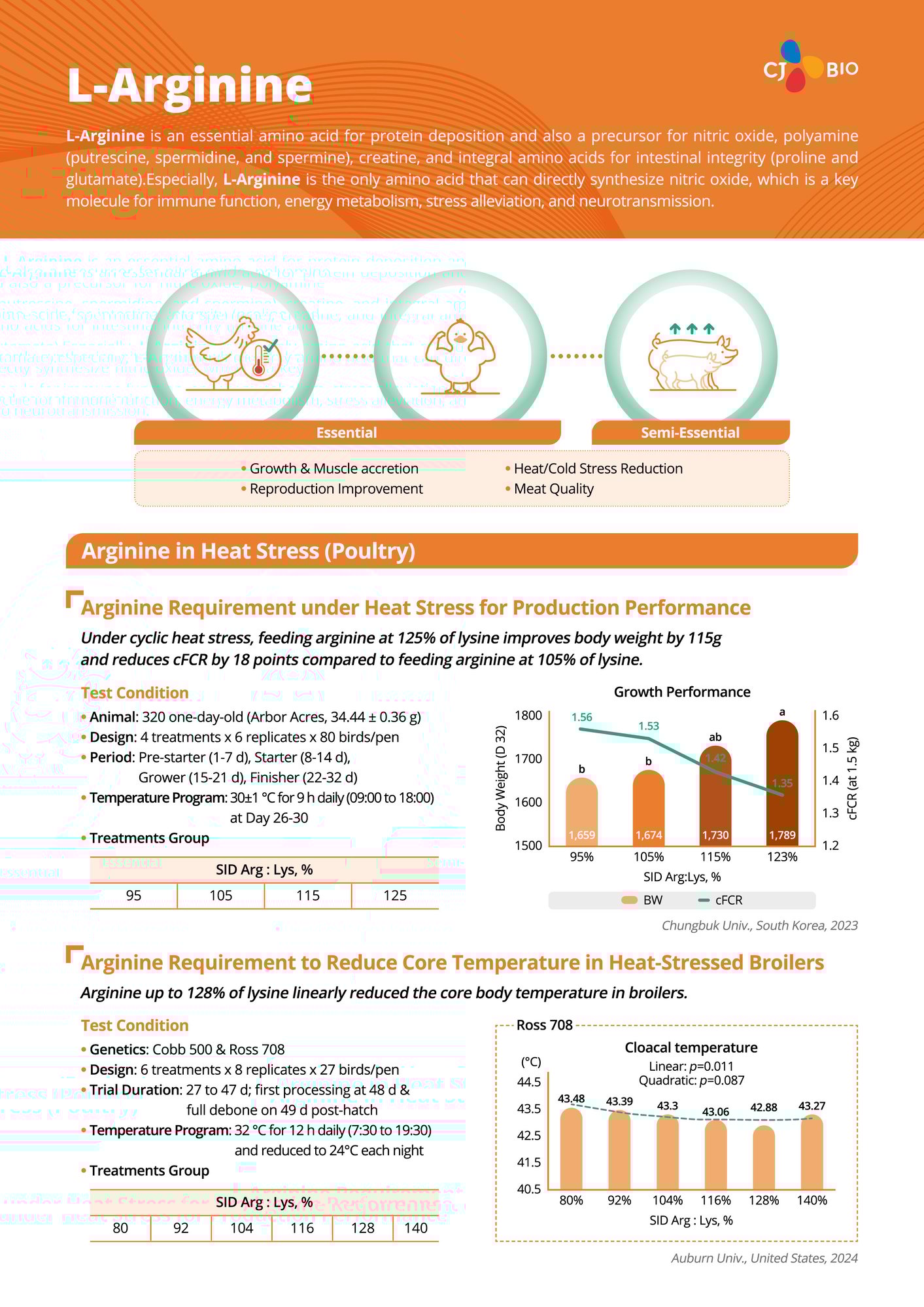 L-Arginine 리플렛_최종_1pg_250326