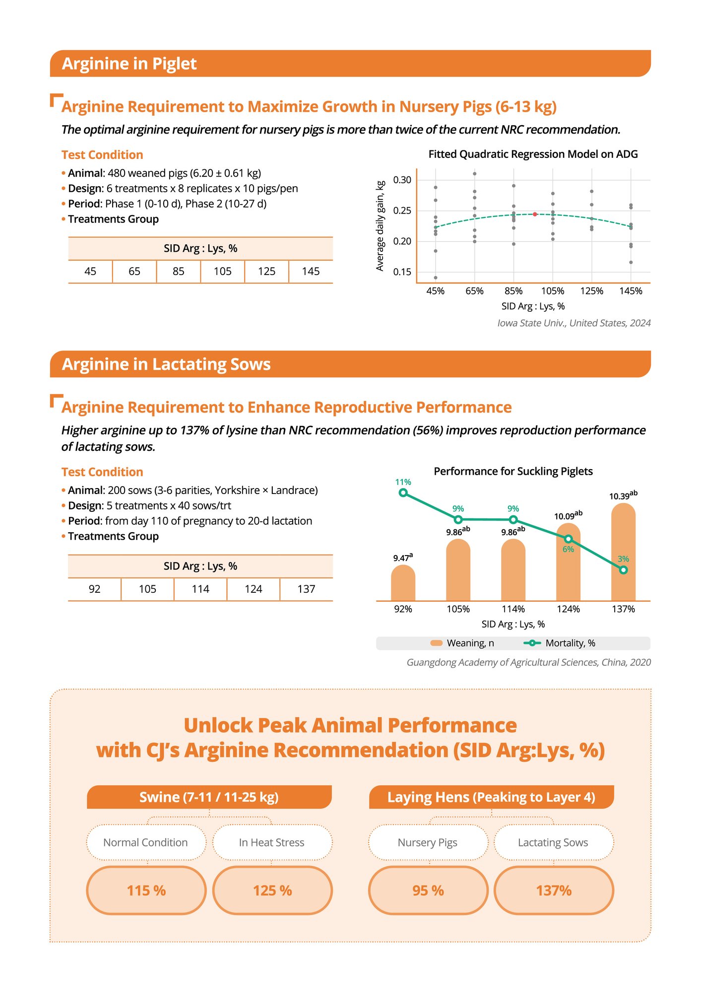 L-Arginine 리플렛_최종_2pg_250326