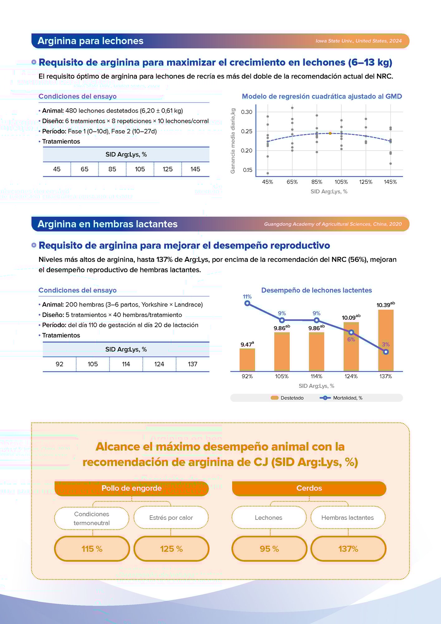 L-Arginine Technical Data Leaflet(Web)_ESP_260121_페이지_2