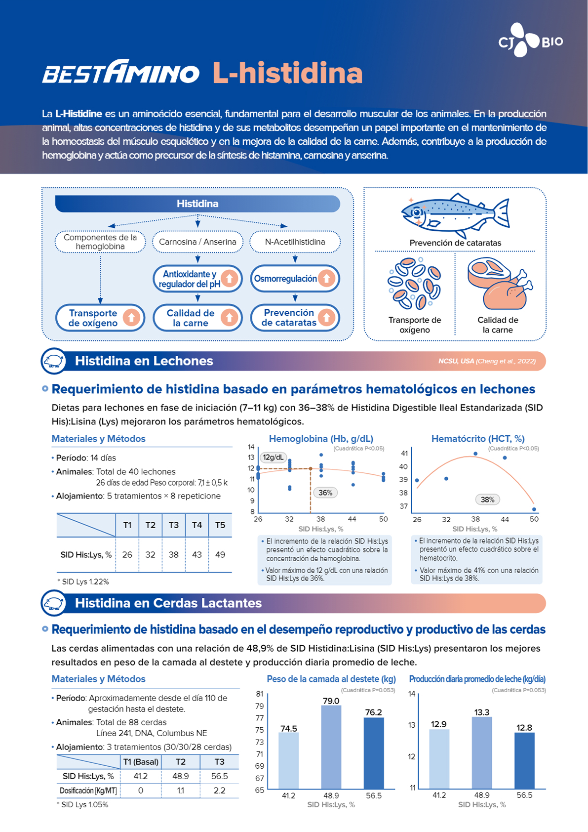 L-Histidine leaflet_ESP(Web)_260720.pdf - Page 1 of 2