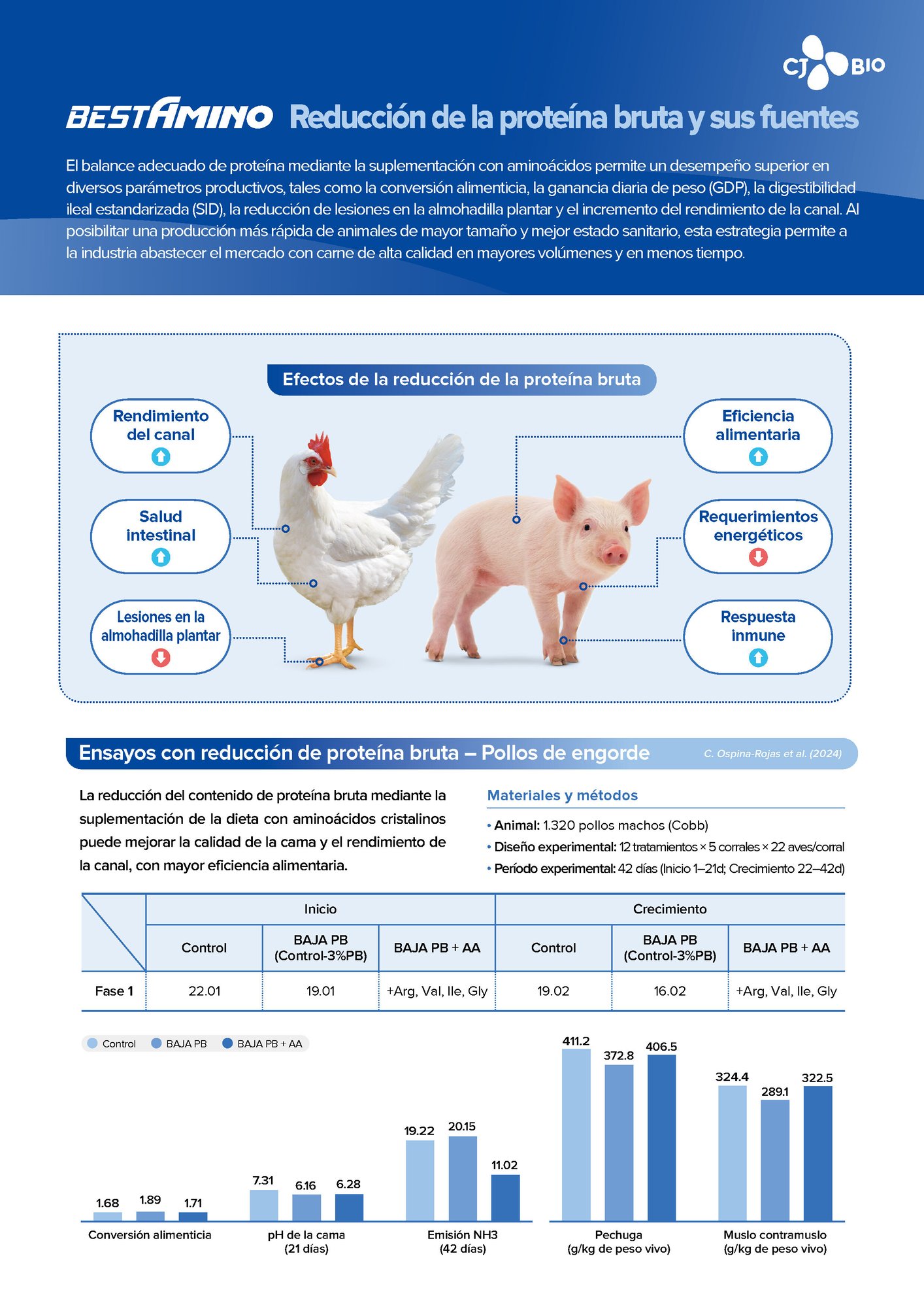 Low Crude Protein leaflet(Web)_ESP_260121_페이지_1