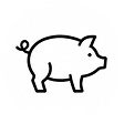 icon-swine