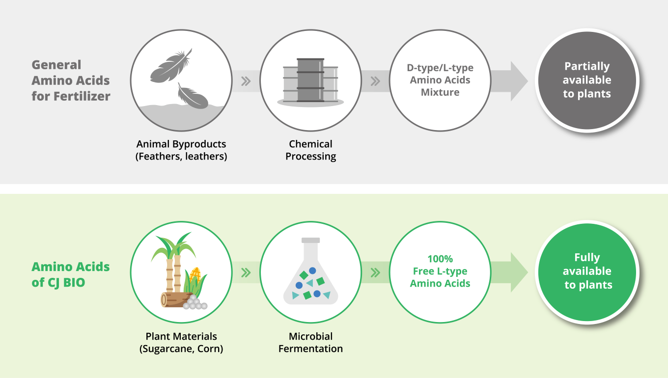 CJ BIO) PNH Infographic_ENG - 4