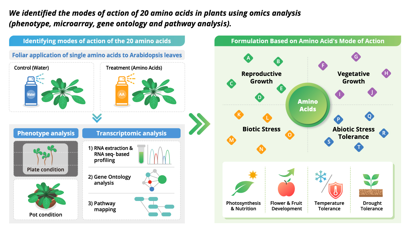 CJ BIO) PNH Infographic_ENG - 5_수정-01-Dec-03-2025-08-08-21-7145-AM