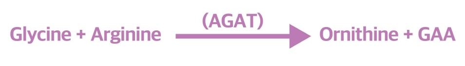 AGAT