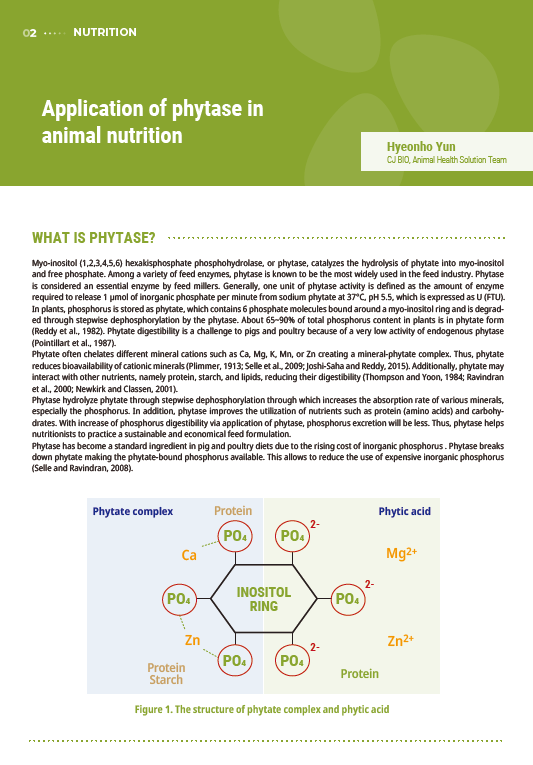 Application of phytase in animal nutrition