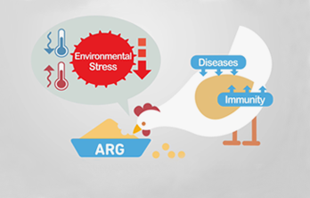 CJ BIO L-Arginine