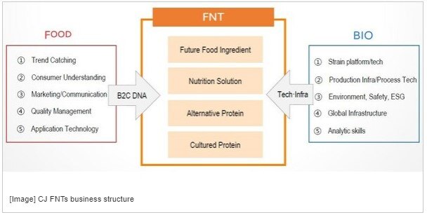 CJ FNTs business structure