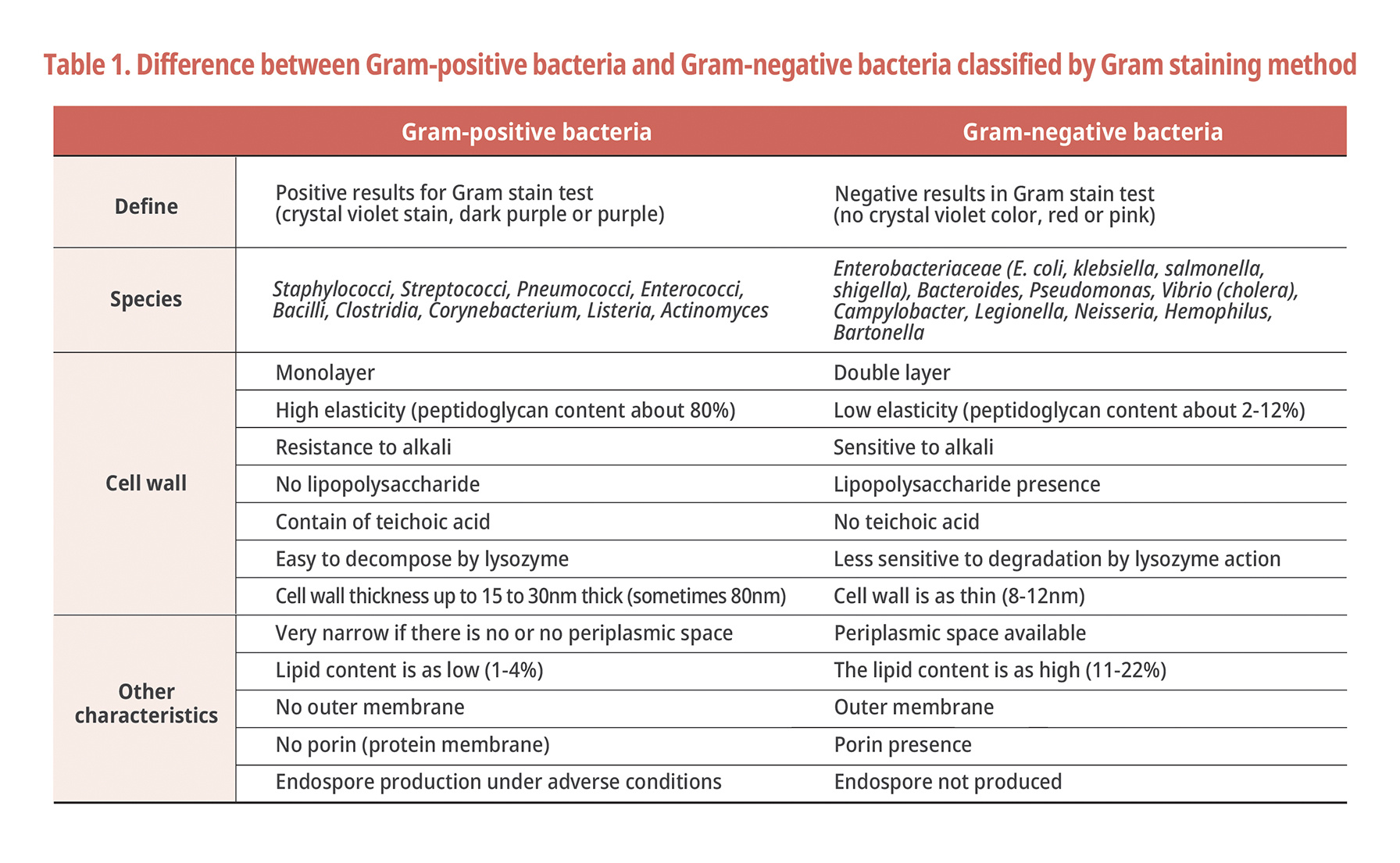 Difference between Gram-negative bacteria and Gram-positive bacteria