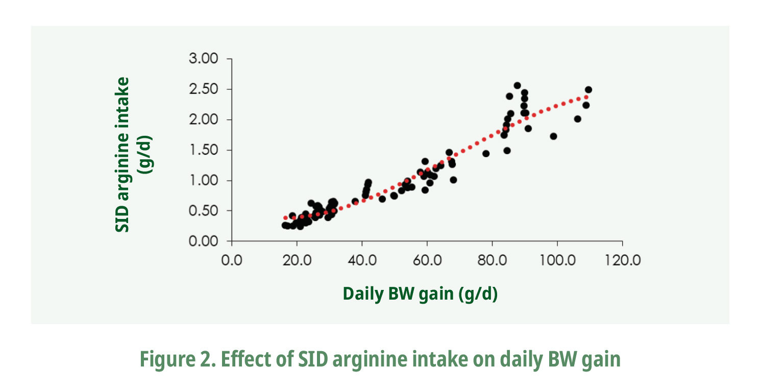 Effect of SID arginine intake on daily BW gain