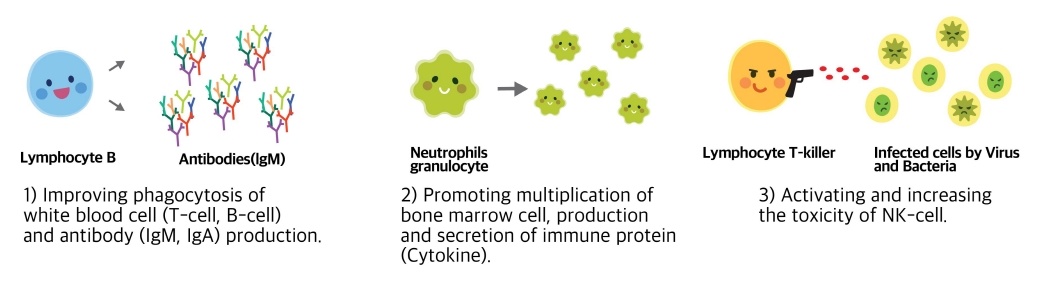 Improving Immune System-1