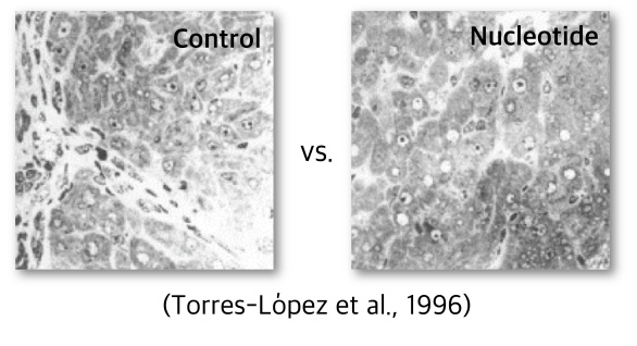 Improving Liver Function