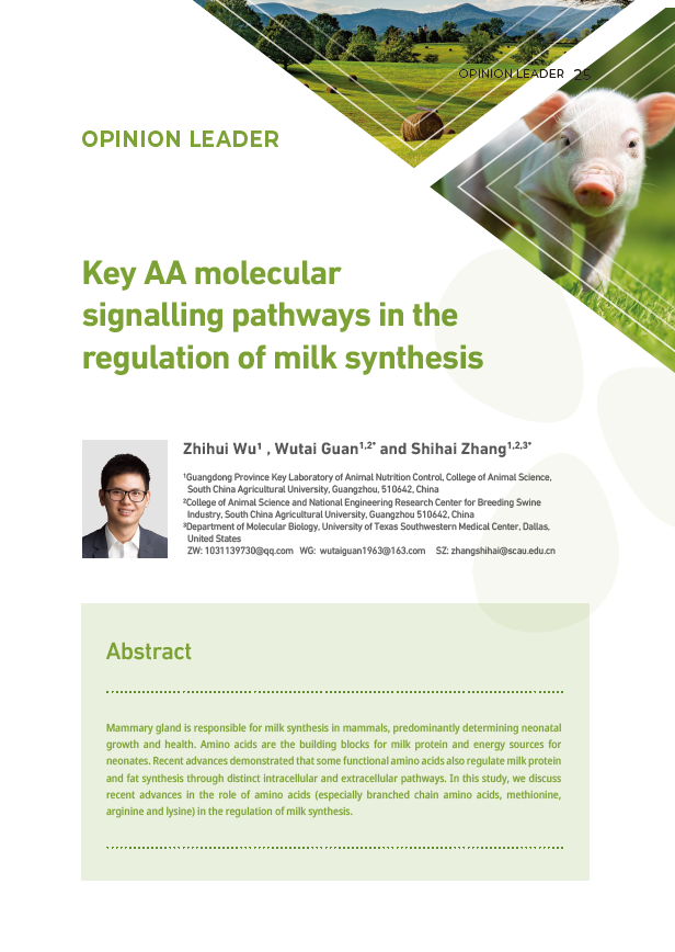 Key amino acid molecular