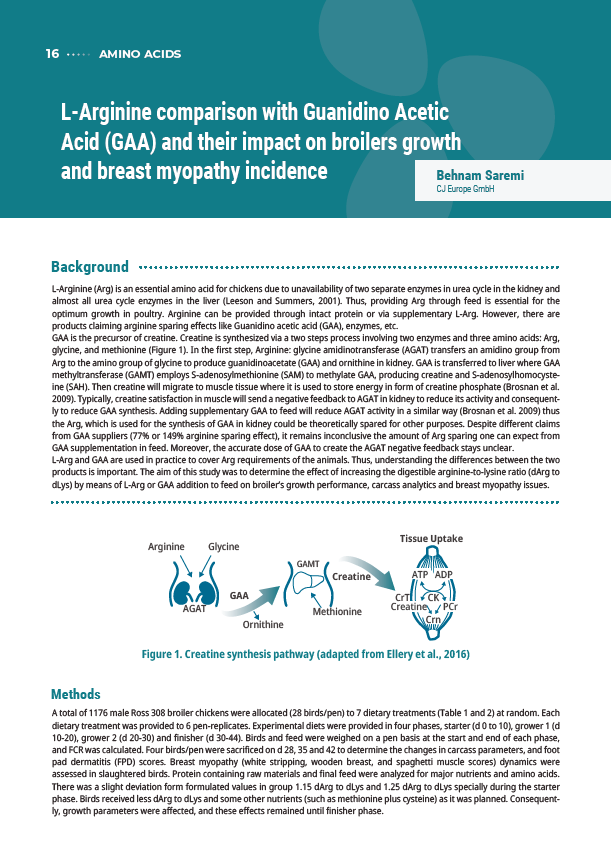 L-Arginine comparison with Guanidino Acetic Acid