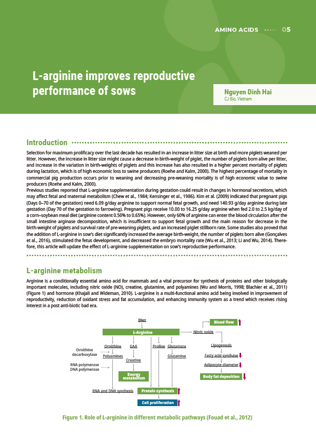 L-Arginine improves reproductive performance of sow