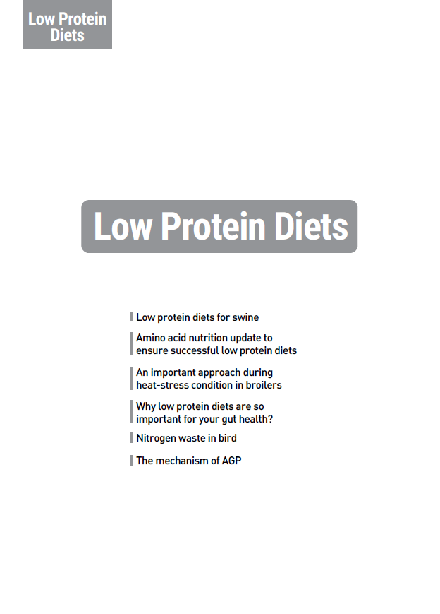 Low Protein Diets