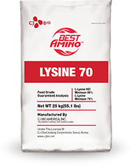 Lysine 70