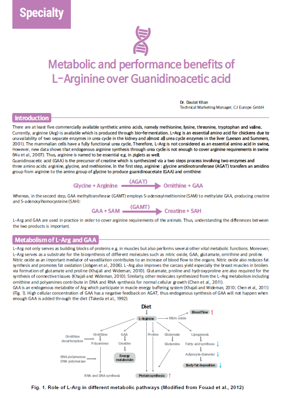 Metabolic and performance