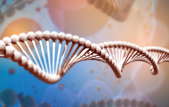 Nucleotides (IMP, GMP)