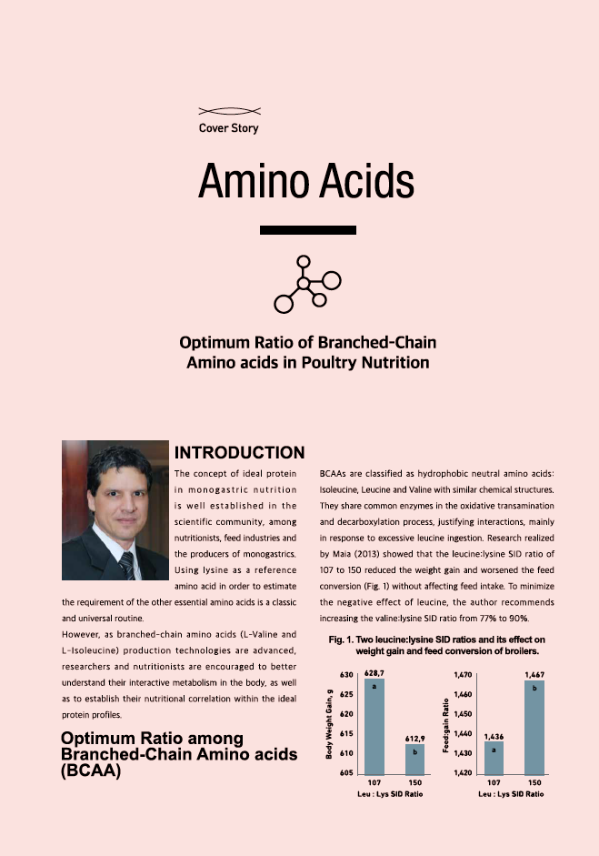 Optimum ratio of Branched-Chain Amino acids