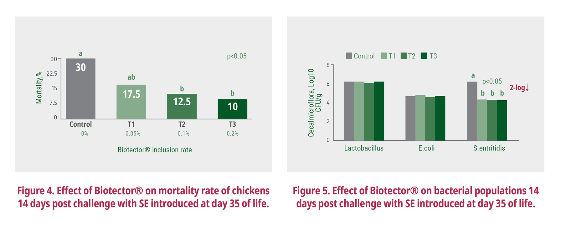 Practical experiences with Biotector 3