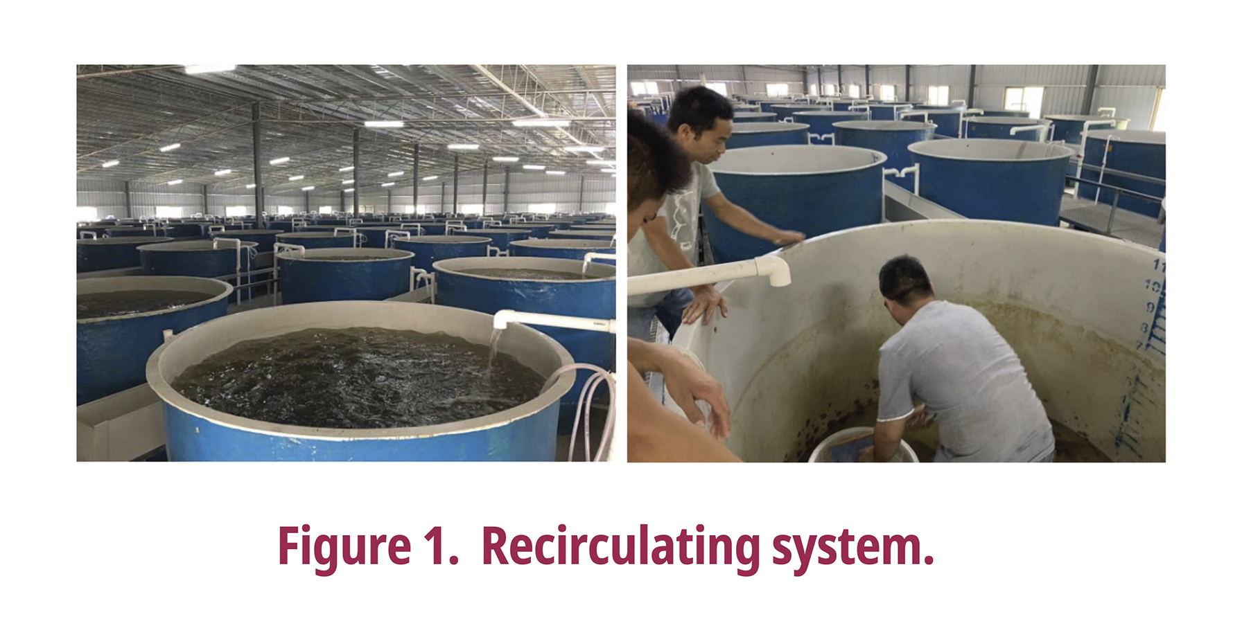 Recirculating system