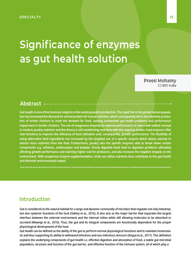 Significance of enzymes