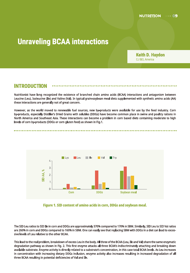 Unraveling BCAA interactions