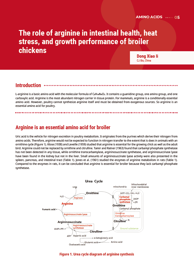 arginine in intestinal health