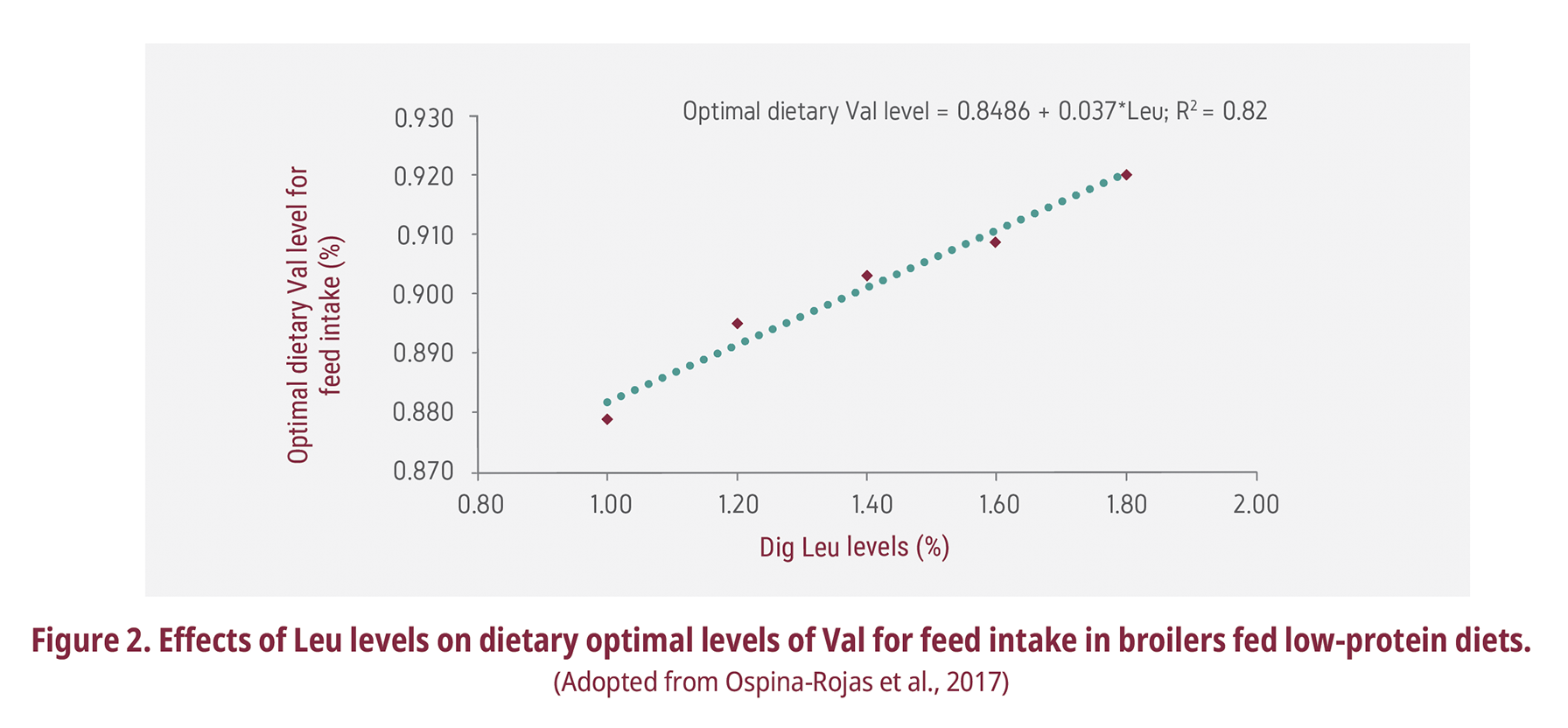 broilers fed low-protein diets
