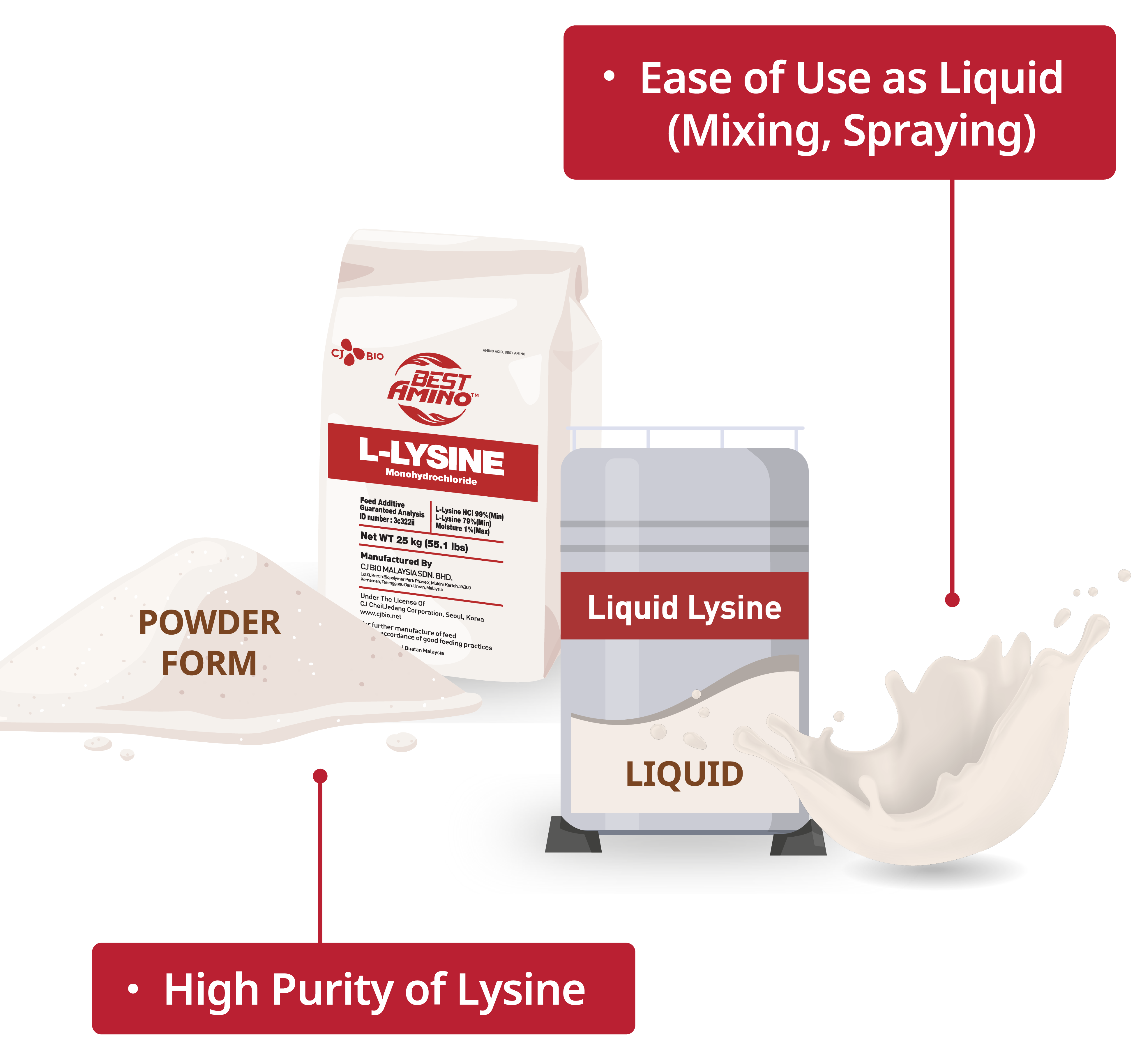 illust_L-Lysine_forms_en_mobile2