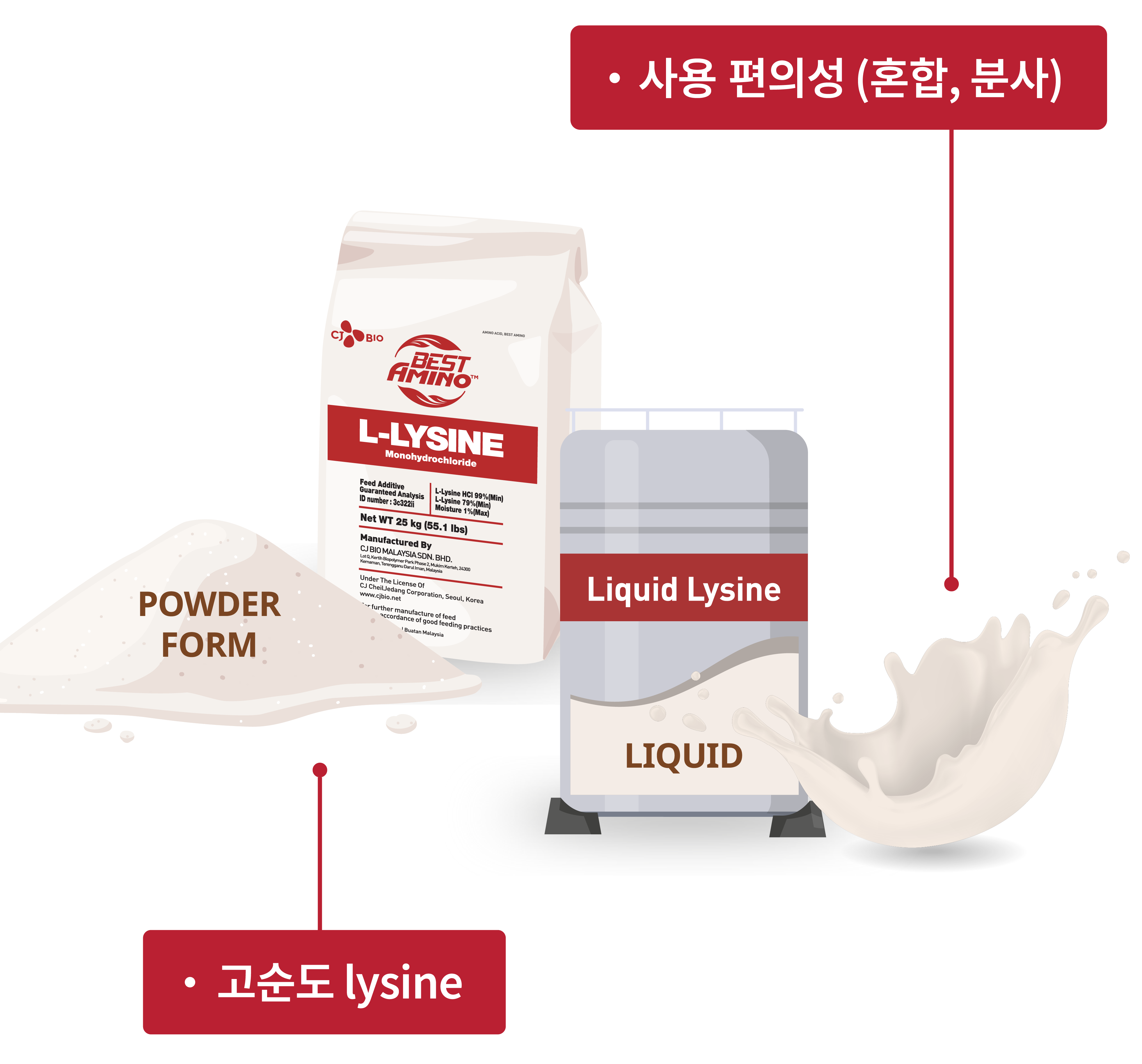 illust_L-Lysine_forms_kr_mobile2