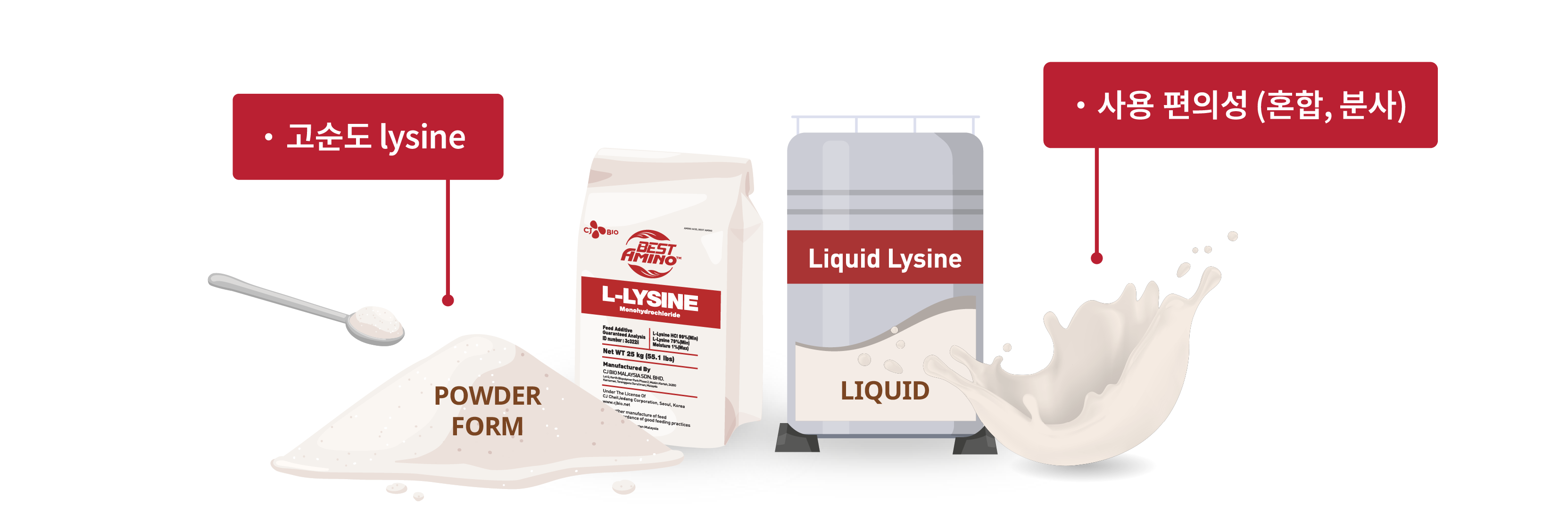 illust_L-Lysine_forms_kr_web2