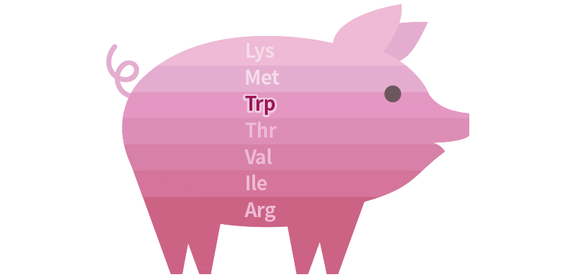 What is L-tryptophan